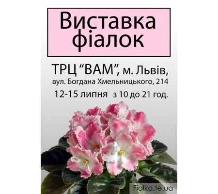 Выставка фиалок во Львове 12-15 июля 2018 г.